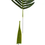 Palmblad Bevestiging Huls 35cm