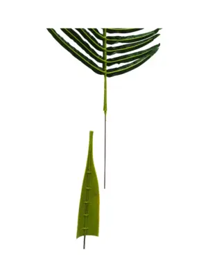 Palmblad Bevestiging Huls 35cm