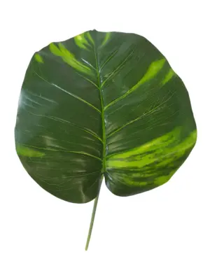 XL Kunst Liaan Blad 40cm