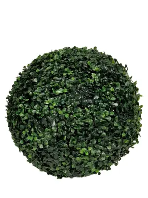 Buxus Bol 36cm