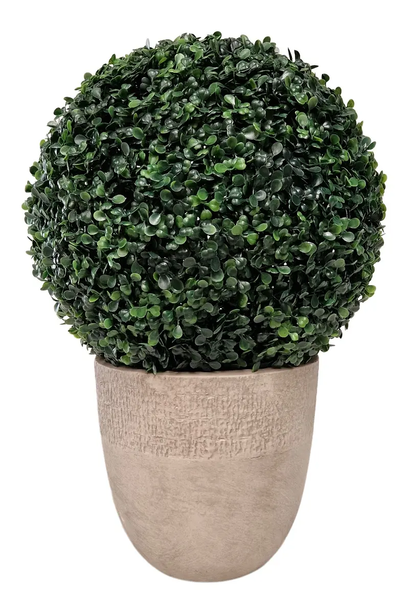 Buxus Bol 36cm