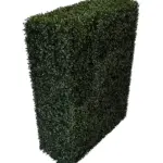 Kunst Buxus Heg Hoog