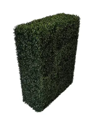 Kunst Buxus Heg Hoog