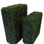 Kunst Buxus Heg Middel