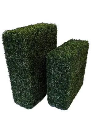 Kunst Buxus Heg Middel
