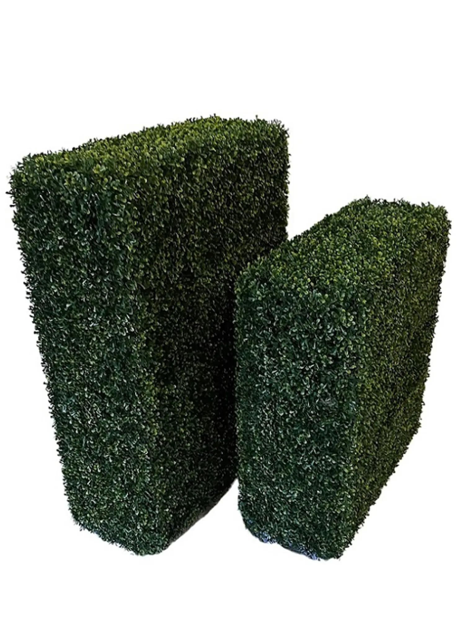 Kunst Buxus Heg Middel