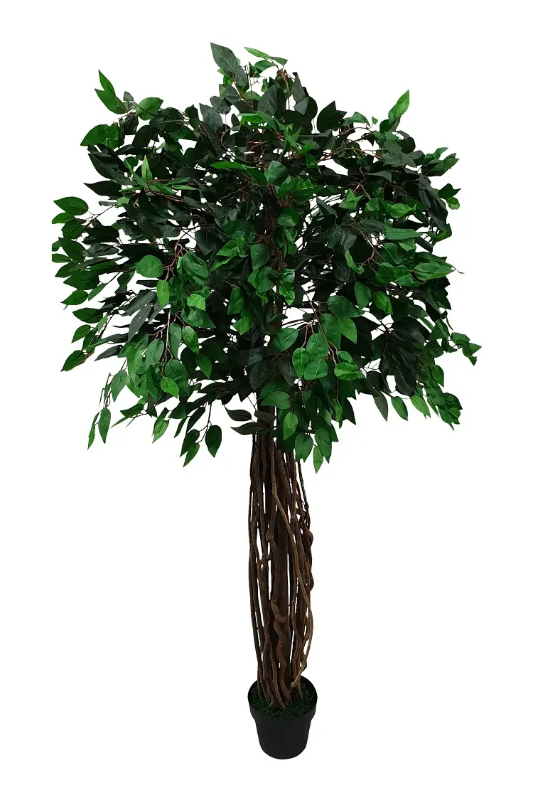 Groene Breedstam Kunstficus 180cm