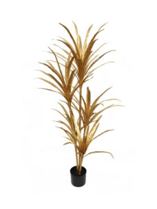 Gouden Kunst Dracaena 150cm