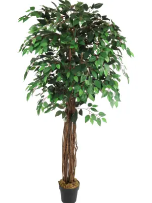 Groene Breedstam Kunstficus 180cm