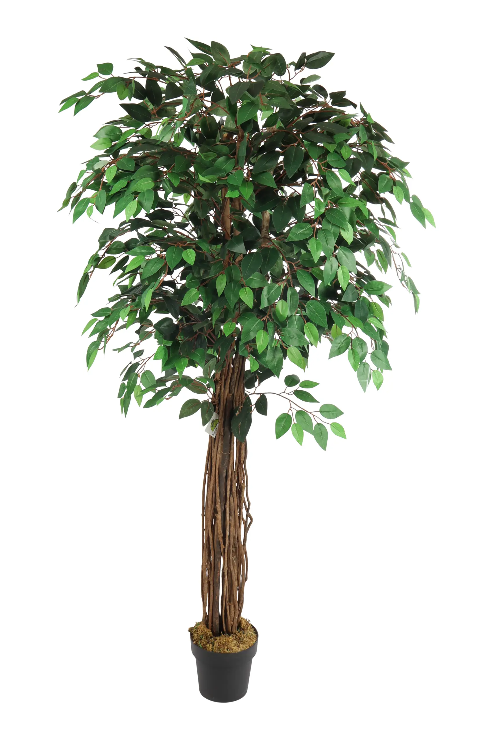 Groene Breedstam Kunstficus 180cm