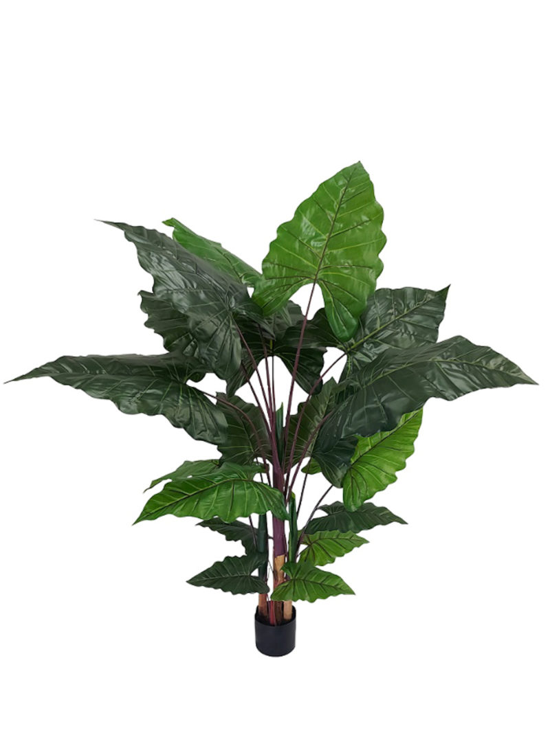 Grootblad Kunst Alocasia 155cm