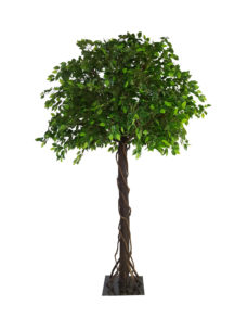 Grote Kunstboomficus XL 260cm