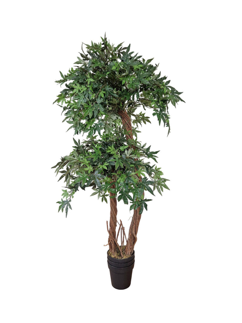 Groene Kunstficus Dubbele Kruin 165cm