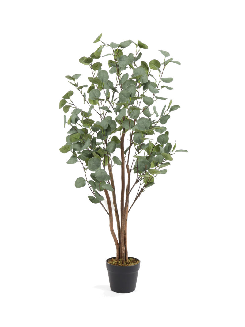 Kunst Eucalyptus Koala 120cm