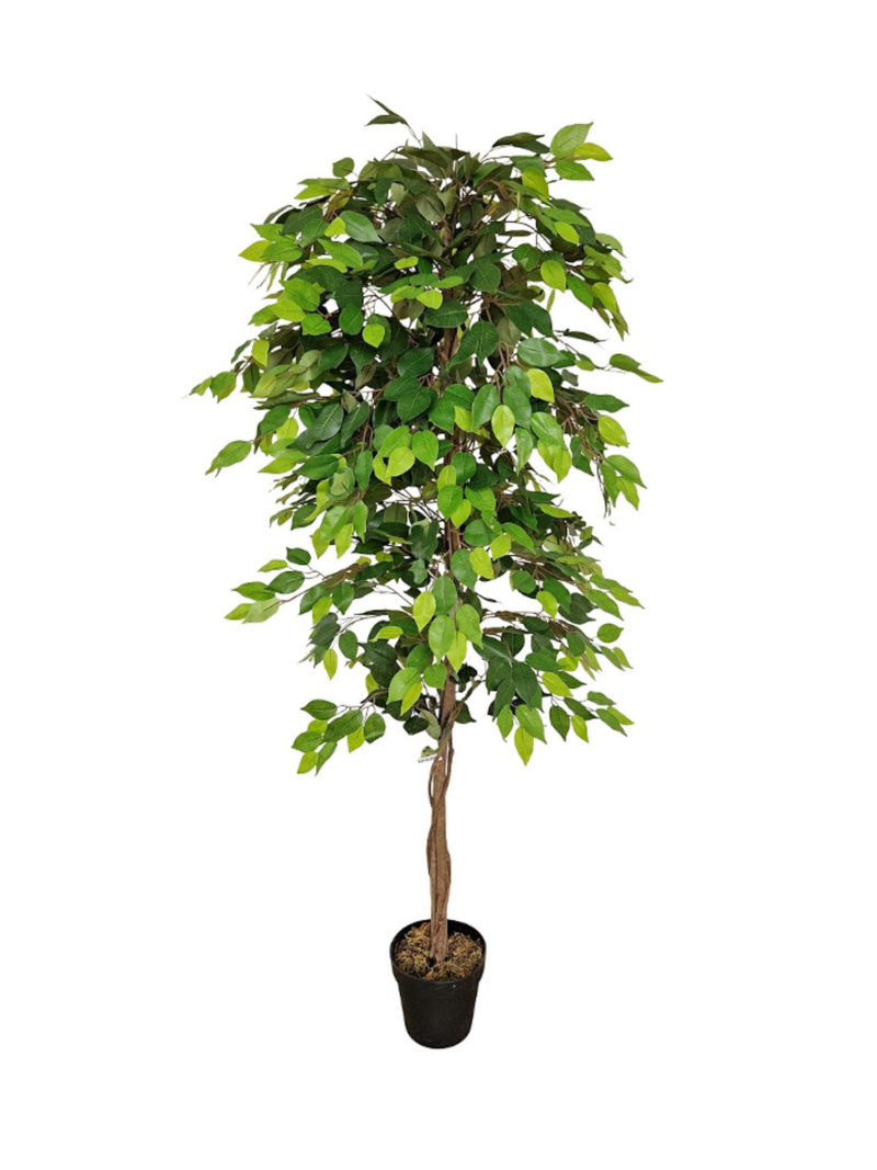 Kunst Ficus Mixgroen 180cm