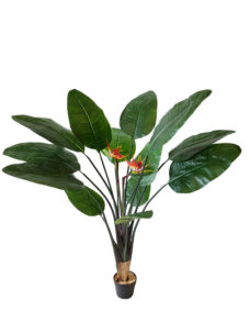 Kunst Strelitzia 140cm