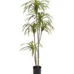 Kunstdracaena Merida 175cm