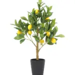 Nep Citroen Boompje 75cm