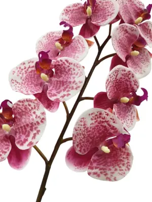 Roze Hang Orchidee 125cm