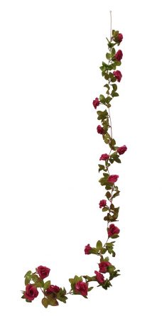 Fuchsia Rozenslinger 220cm
