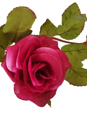 Fuchsia Rozenslinger 220cm detail