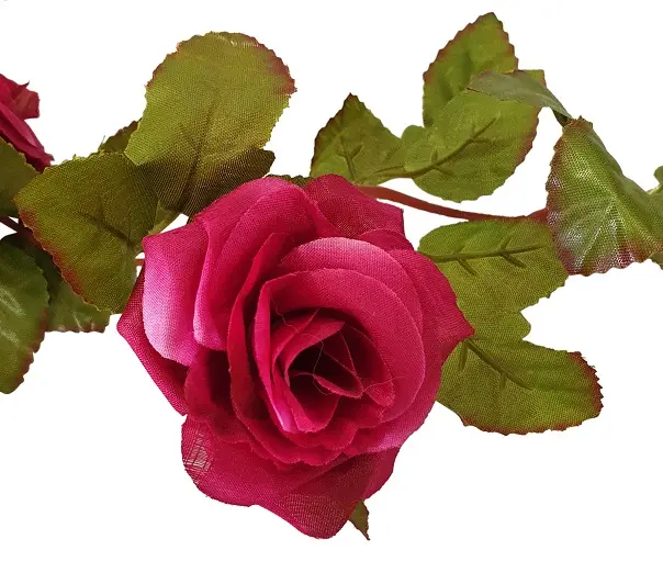 Fuchsia Rozenslinger 220cm detail