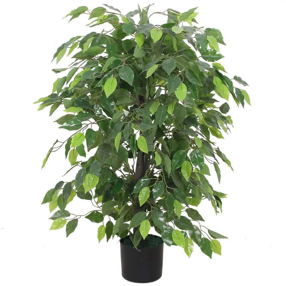 Kleine kunstbomen kopen bij Kunstpalm,nl