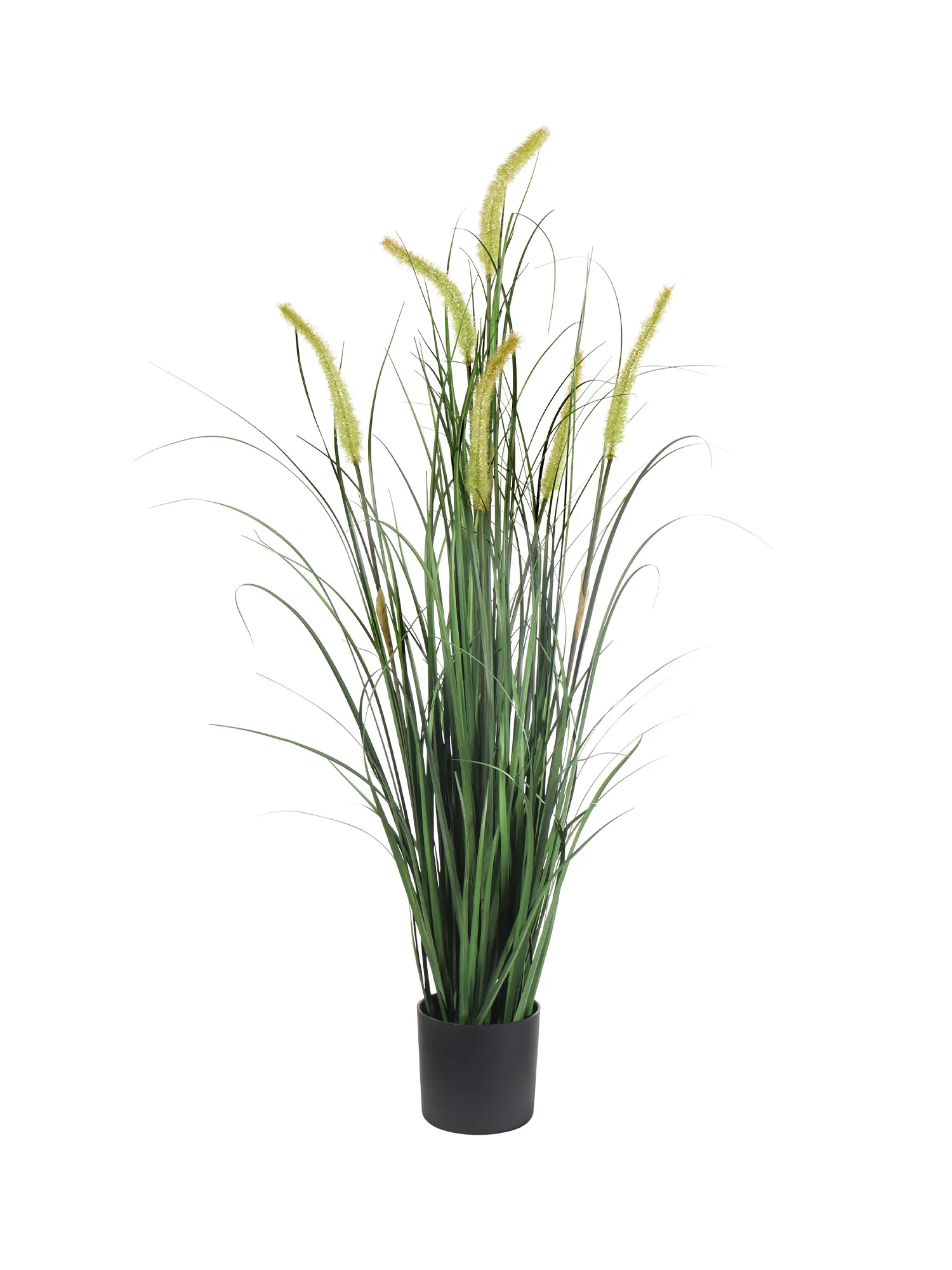Decoratief kunst pluimgras 100 cm voor interieur en kantoor