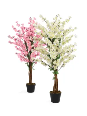 Wit Kersen Bloesemboompje 120cm
