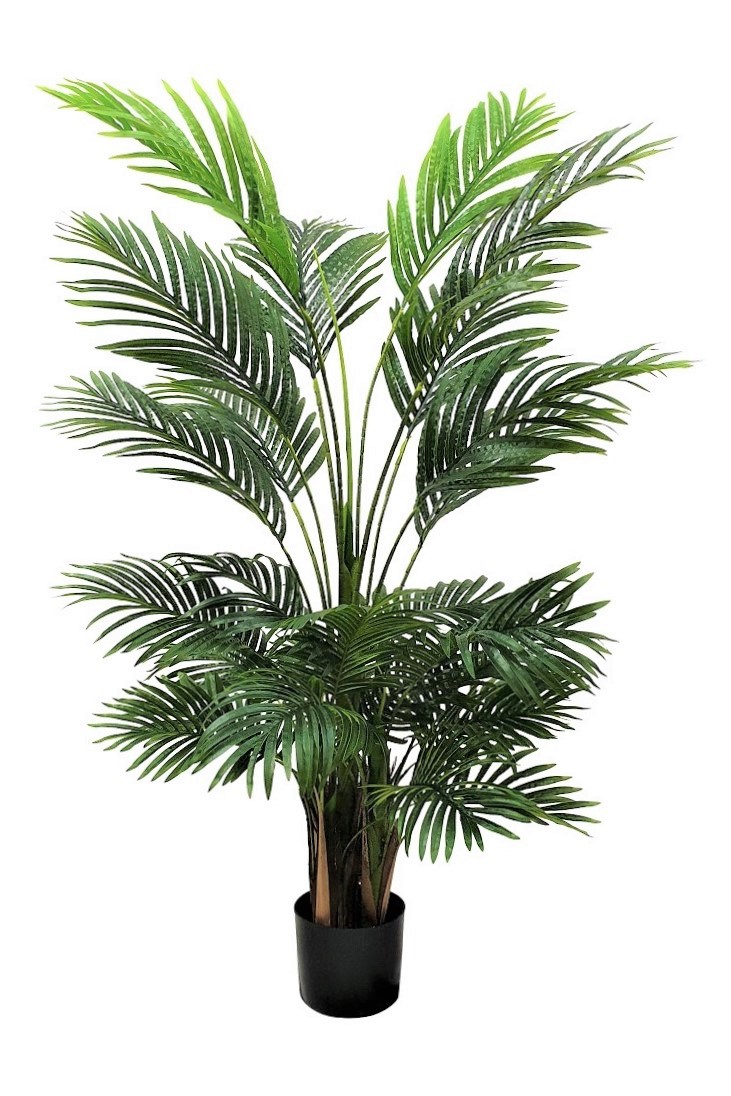 Nep Areca Palm Panama 150cm
