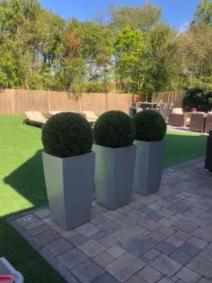 Kunst Buxus Bol De Luxe XL 52cm