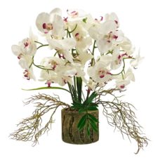 Grote Zijde Orchidee Wit