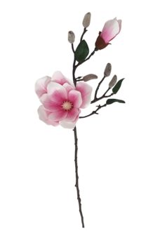 Kunst Magnoliatak 70cm