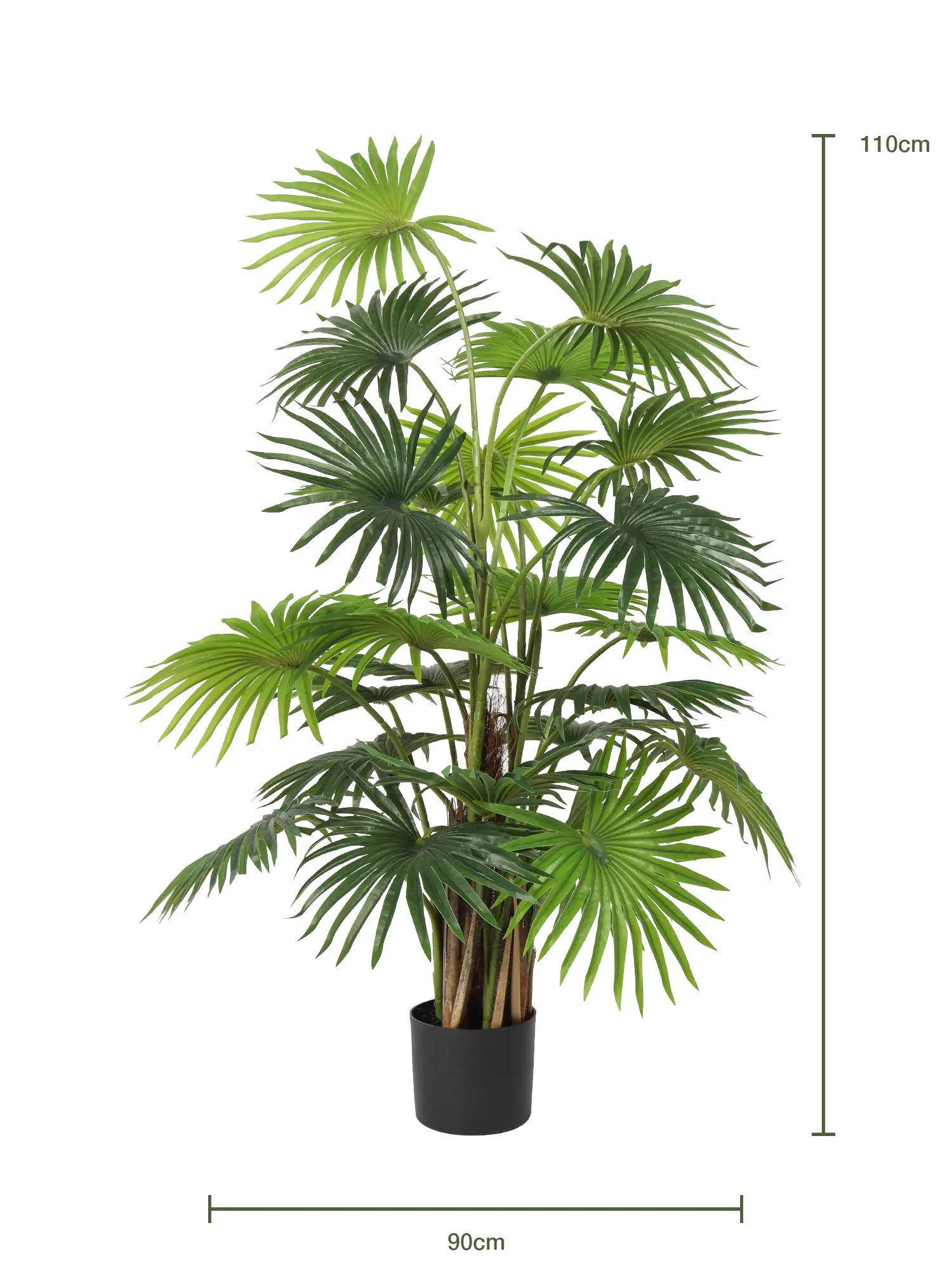 Goed gevulde nep waaierpalm