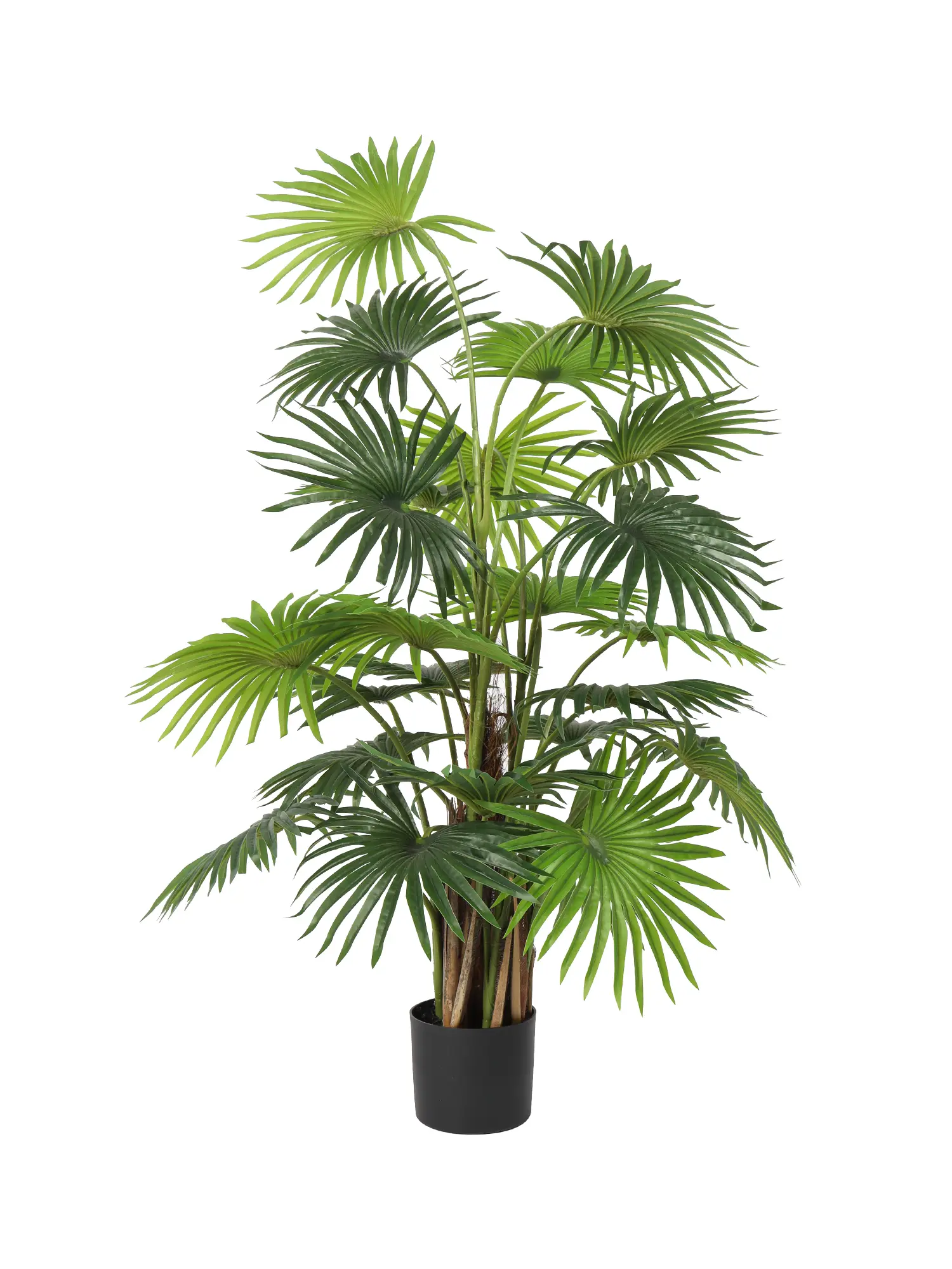 Kunstpalm met waaierbladeren in verzwaarde zwarte pot