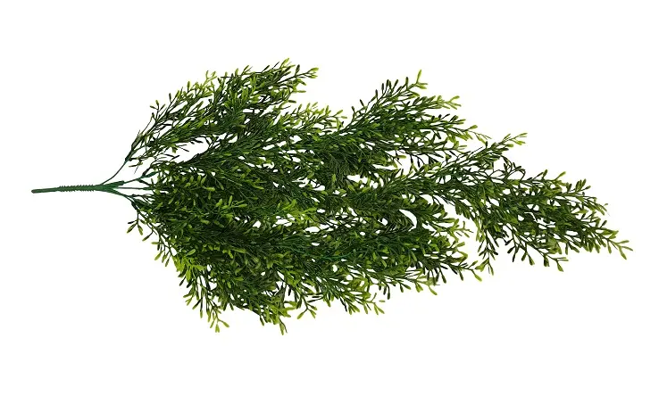 Groene Sedumblad Hanger 85cm - Afbeelding 3