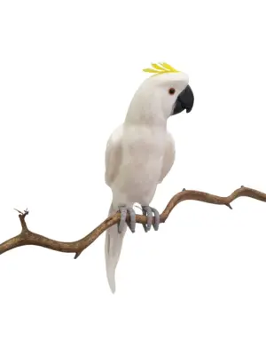 Grote Witte Namaak Kaketoe 60cm