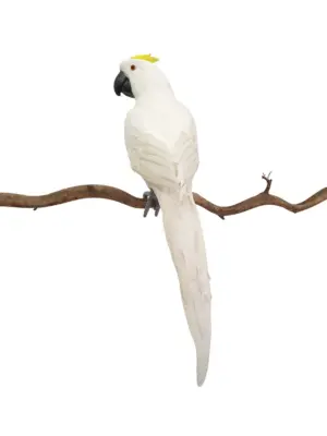 Grote Witte Namaak Kaketoe 60cm