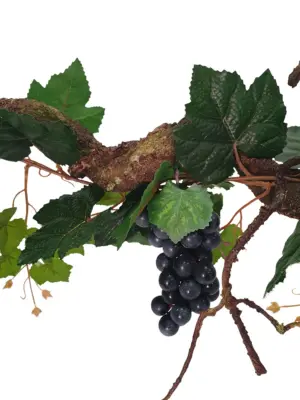 Krulliaan Blauwe Druiven 175cm
