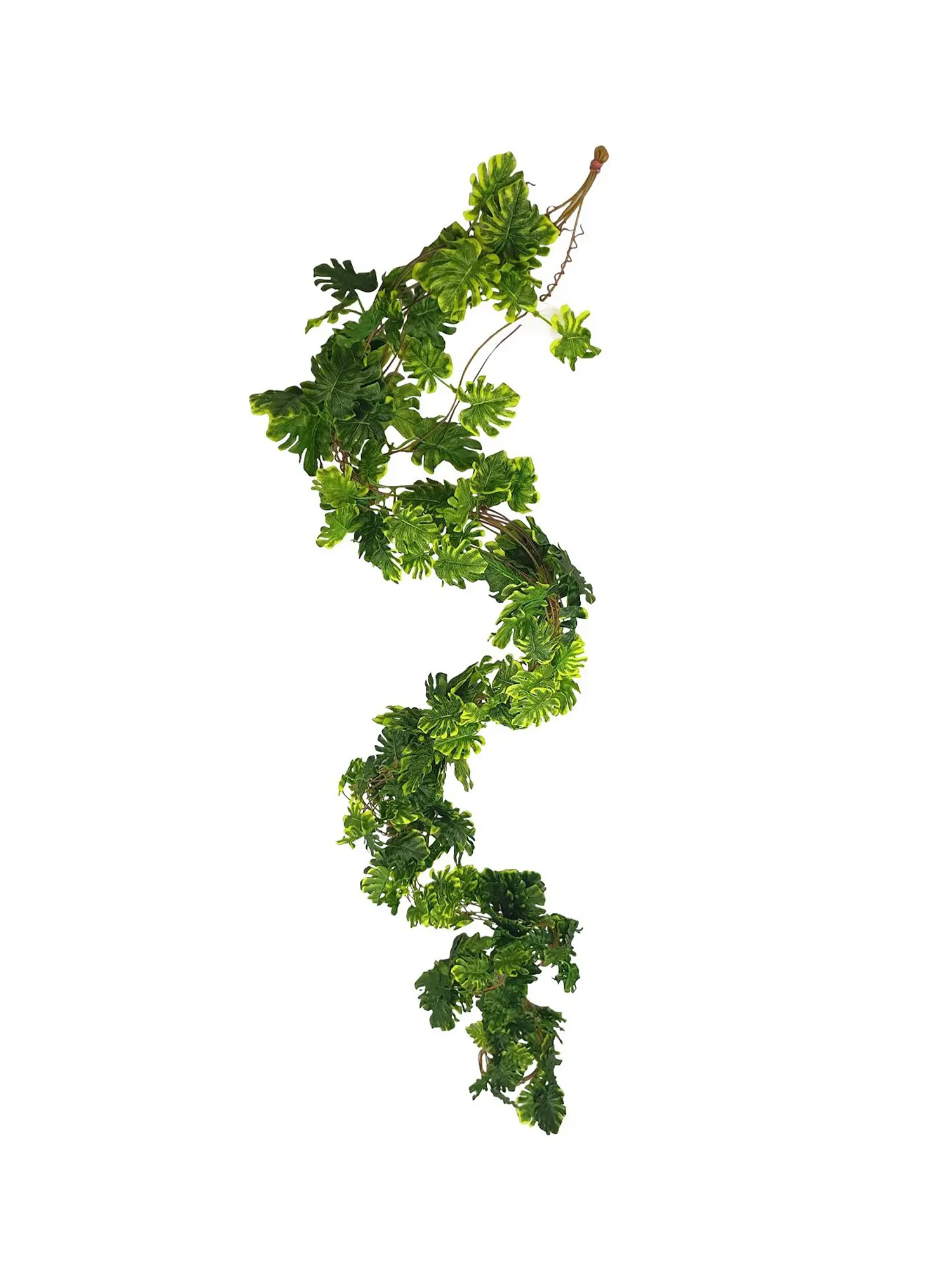 Gatenplant Slinger Extra Lang 275cm