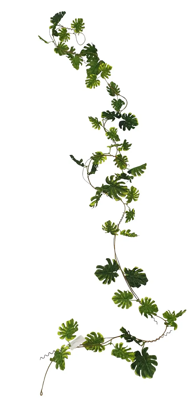 Gatenplant Slinger Extra Lang 275cm