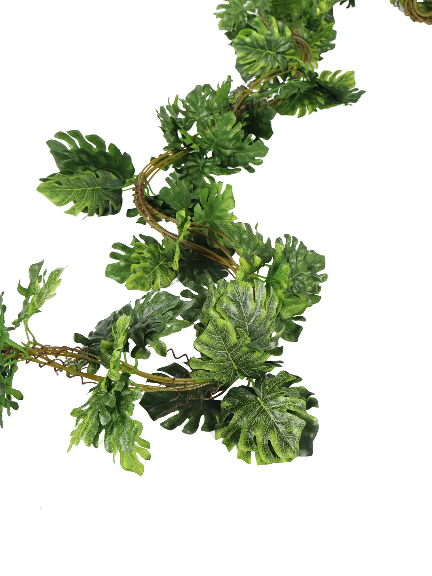 Gatenplant Slinger Extra Lang 275cm