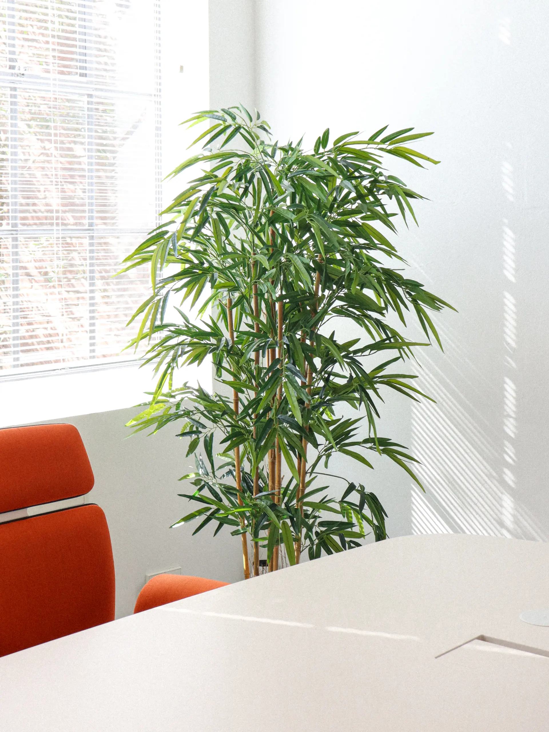 Kunst Bamboe Plant 180cm van Kunstpalm.nl