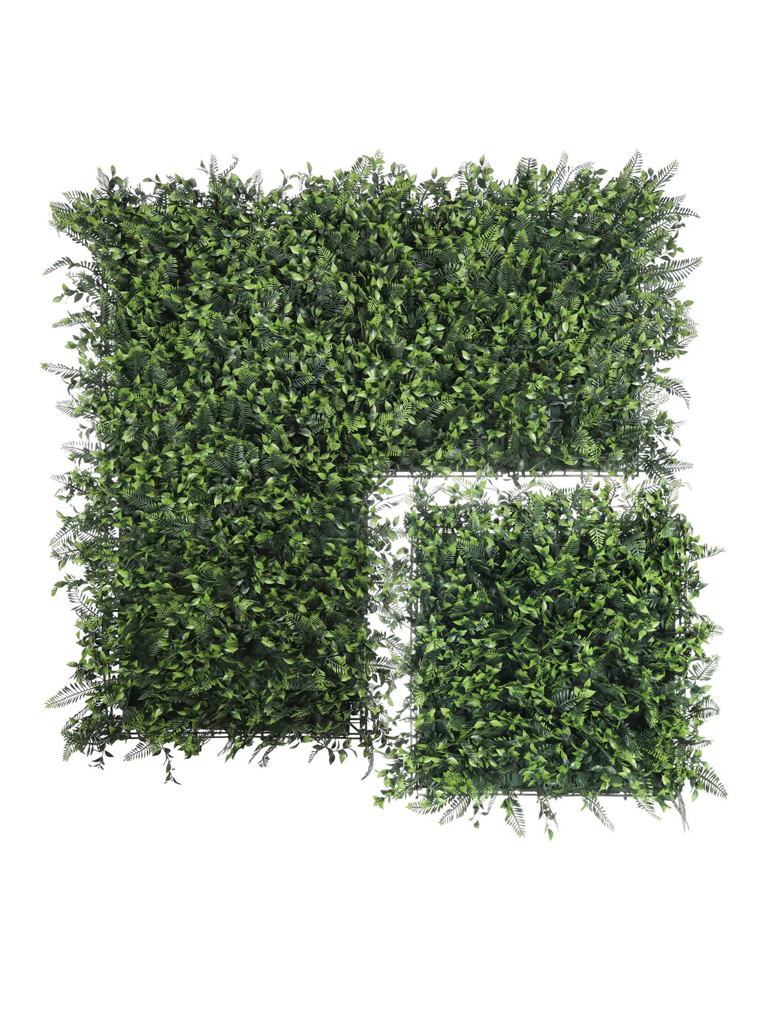 Kunsthaag Plantenwand Leptinella – Brandvertraagd - 50x50cm - Afbeelding 3