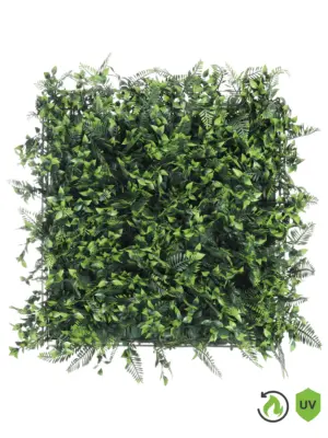 Brandvertragende kunsthaag van 50x50 cm met Leptinella en diverse groene bladeren