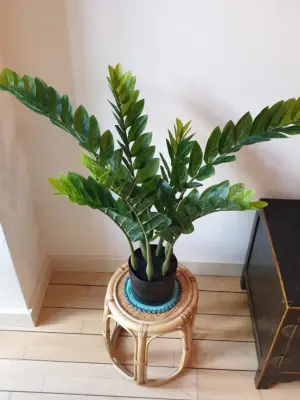 Nep Geldboom Macao 80cm en meer kunst kamerplanten kopen bij Kunstpalm.nl
