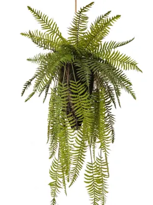 Nep Kokedama Hangvarens 100cm