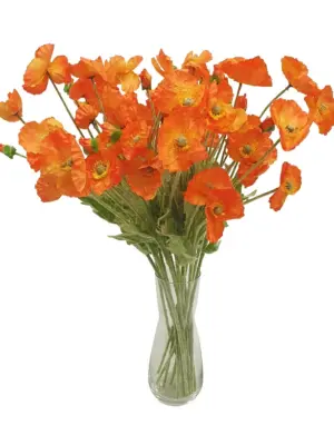 Nep Klap Roos Oranje
