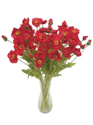 Nep Klaproos Rood