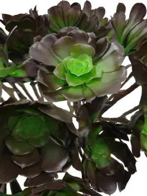 Nep Vetplant Tak 65cm